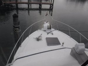 deck, Bertram 33, trawler for sale