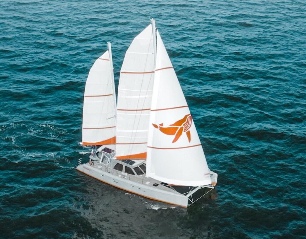 David de Villiers Interview – Aluminum Catamaran Design