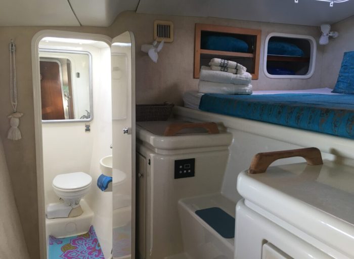 bath, Voyage 47 Mayotte, catamaran for sale