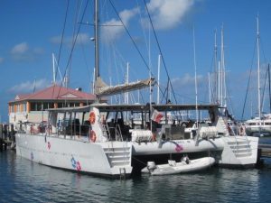 exterior, Custom, catamaran for sale