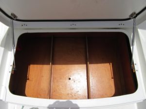 interior, Lagoon 450, catamaran for sale