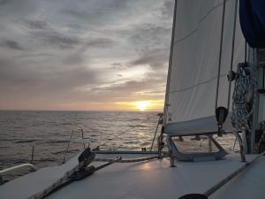 deck, Leopard 38, catamaran for sale