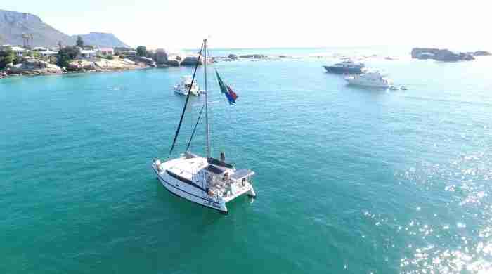 exterior, Dean 365, catamaran for sale