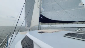 deck, Lidgard 73 Executive, catamaran for sale