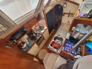 interior, Lagoon 37 TPI, catamaran for sale