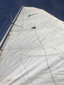 exterior, Endeavour 35 Victory, catamaran for sale