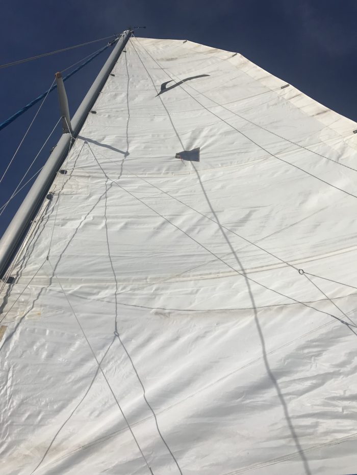 exterior, Endeavour 35 Victory, catamaran for sale