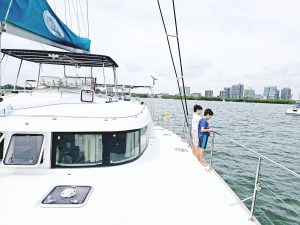 exterior, Lagoon 500, catamaran for sale