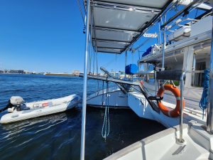 exterior, Lagoon 500, catamaran for sale