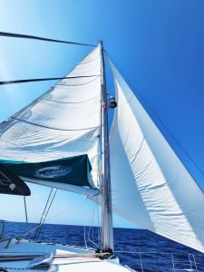 deck, Lagoon 500, catamaran for sale