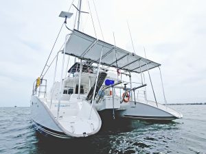 exterior, Lagoon 500, catamaran for sale