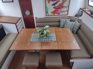 salon, Endeavour 44, catamaran for sale