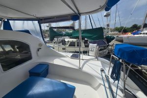 cockpit, Lagoon 410, catamaran for sale