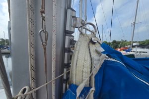 deck, Lagoon 410, catamaran for sale