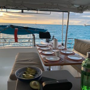 cockpit, FP 44 Helia, catamaran for sale