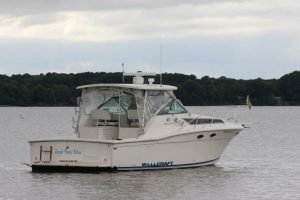 exterior, Wellcraft, trawler for sale