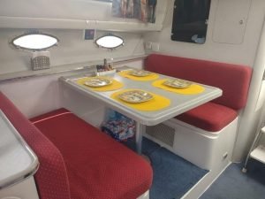 salon, Wellcraft, trawler for sale