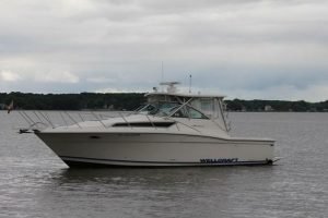 exterior, Wellcraft, trawler for sale
