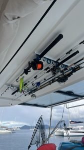 deck, FP 44 Helia, catamaran for sale