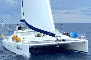 Voyage 47 Mayotte, catamaran for sale