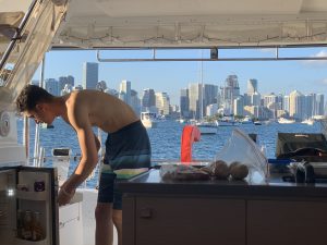 interior, FP 44 Helia, catamaran for sale