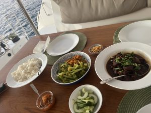 cockpit, FP 44 Helia, catamaran for sale