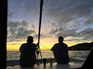 cockpit, FP 44 Helia, catamaran for sale