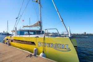 exterior, Balance 442, catamaran for sale