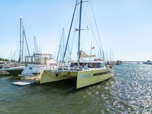 exterior, Balance 442, catamaran for sale