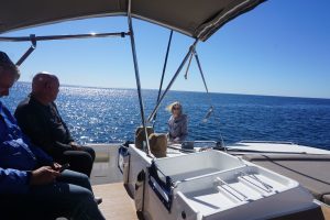 cockpit, Lagoon 450, catamaran for sale