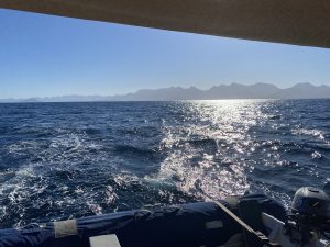 underway, Lagoon 450, catamaran for sale