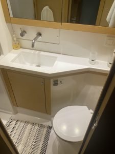 bath, Lagoon 450, catamaran for sale