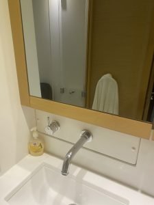 bath, Lagoon 450, catamaran for sale