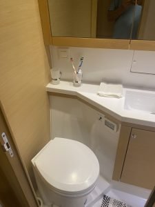 bath, Lagoon 450, catamaran for sale
