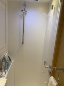 bath, Lagoon 450, catamaran for sale