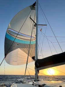 deck, FP 40 Isla, catamaran for sale