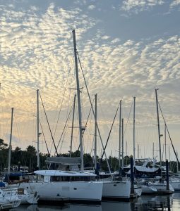 exterior, Lagoon 400, catamaran for sale