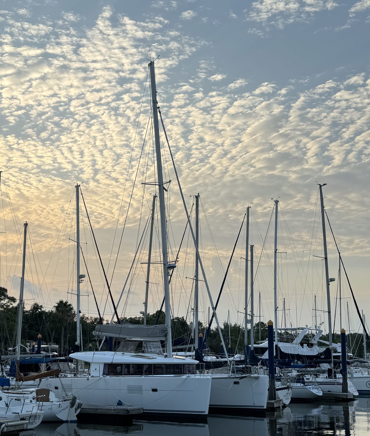 Lagoon 400 Used Sail