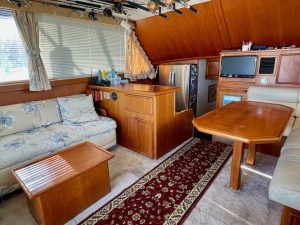 salon, Post 46, trawler for sale