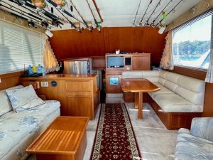salon, Post 46, trawler for sale
