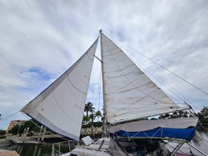 deck, Catalac 8M, catamaran for sale