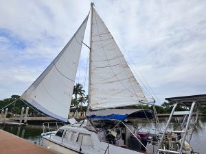 deck, Catalac 8M, catamaran for sale