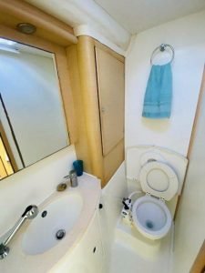 bath, Lagoon 440, catamaran for sale
