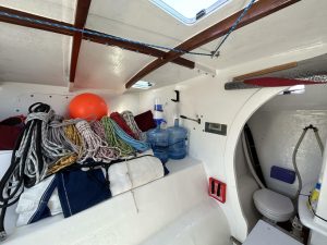 Kelsall, catamaran for sale