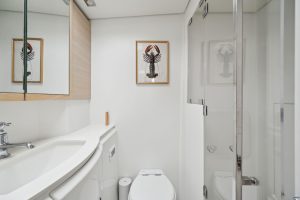 bath, Lagoon 620, catamaran for sale