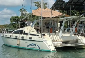exterior, Prout 39 Escale, catamaran for sale