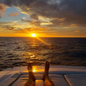deck, Aquila 48, power catamaran for sale