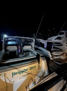 cockpit, Formula, trawler for sale