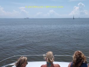 deck, Aquila 48, power catamaran for sale