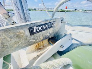 exterior, Lagoon 380, catamaran for sale